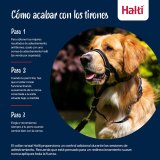 Mundkurv Company of Animals COBALT Bl 4 #3