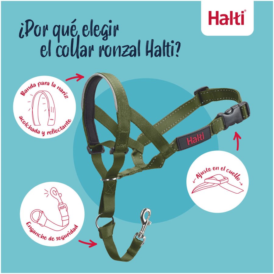 Mundkurv Company of Animals FOREST Grn Strrelse 1 #7