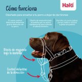 Mundkurv Company of Animals FOREST Grn 2 #4