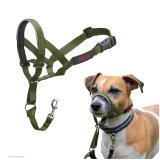 Mundkurv Company of Animals FOREST Grn 2 #6