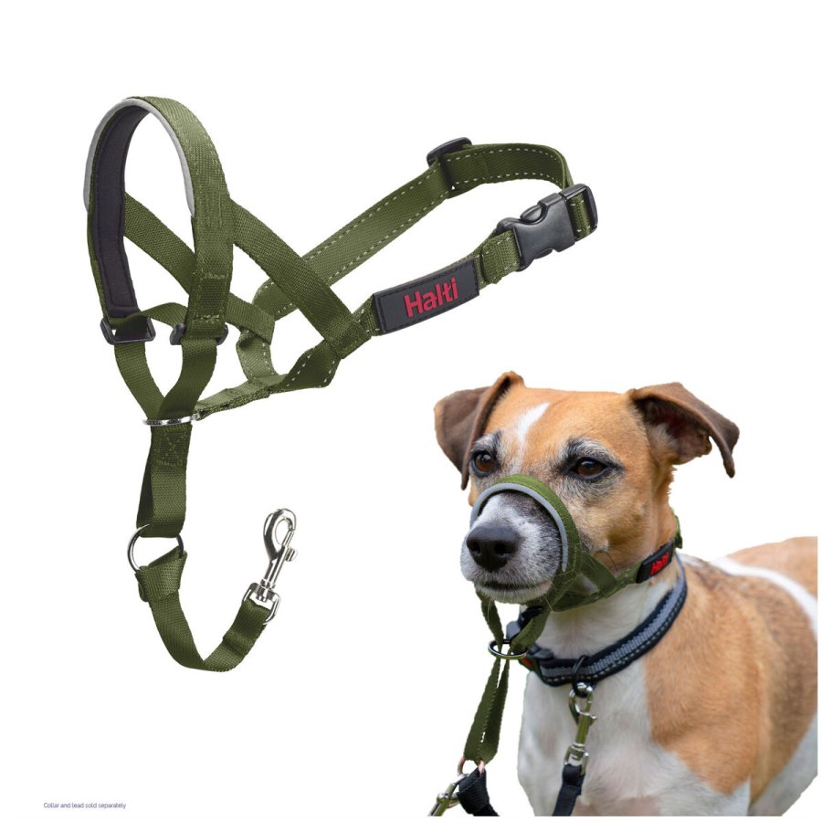 Mundkurv Company of Animals FOREST Grn 2 #6