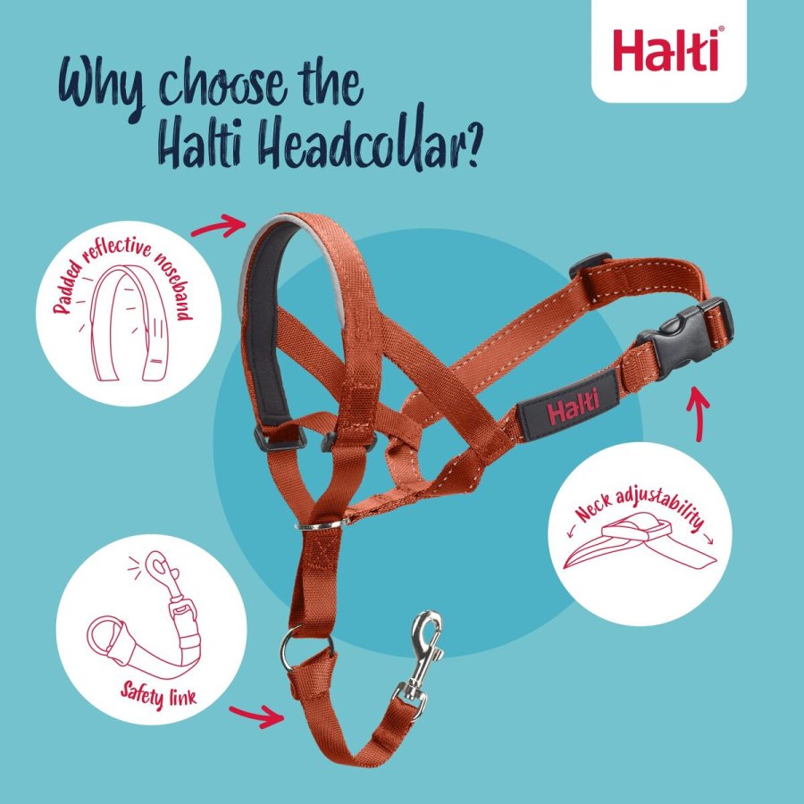 Mundkurv Company of Animals BURNT Orange 2 #3