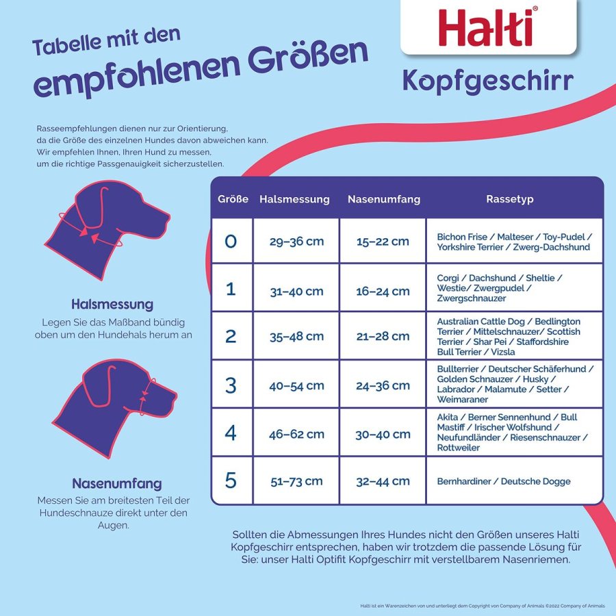 Mundkurv Company of Animals BURNT Orange 3 #3