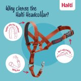 Mundkurv Company of Animals BURNT Orange 4 #3