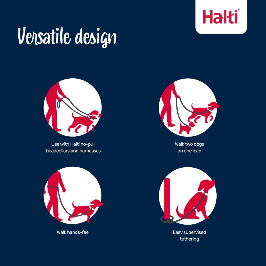 Sporingsline Company of Animals Blue #5