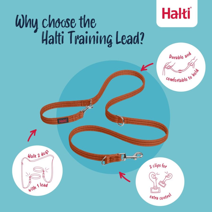 Trningsleder Company of Animals BURNT Orange #3