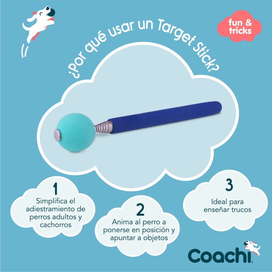 Training toy Coachi Stick Bl #4