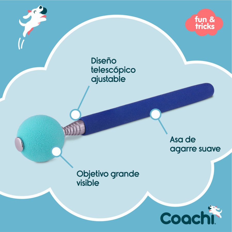 Training toy Coachi Stick Bl #5