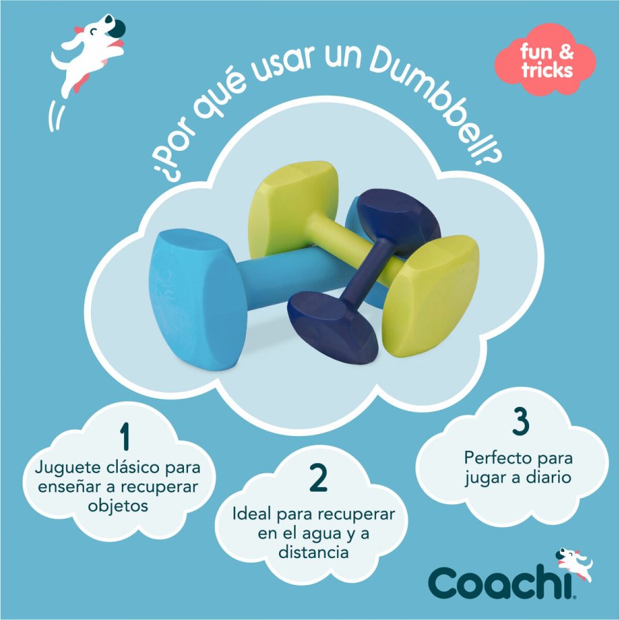 Hndvgt Coachi TRAINING DUMBBELL Bl #2