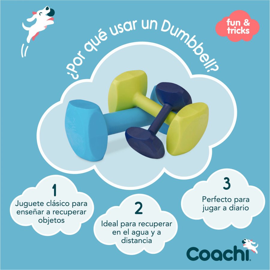 Hndvgt Coachi TRAINING DUMBBELL Bl L Plastik #4