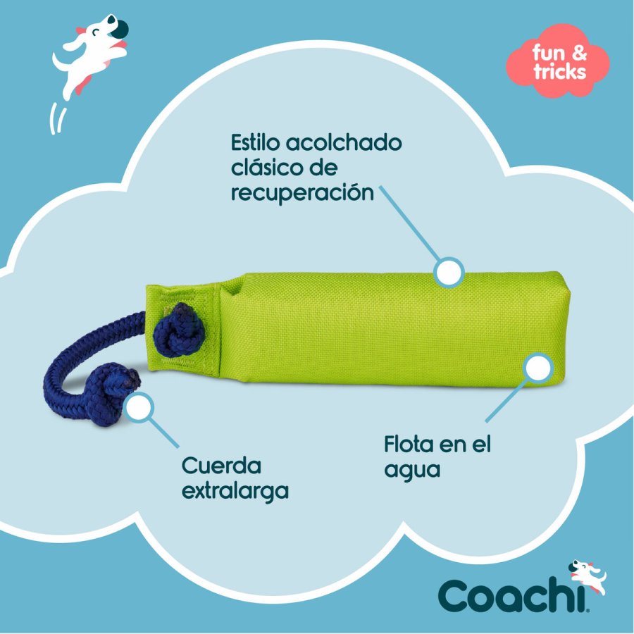Training toy Coachi #3