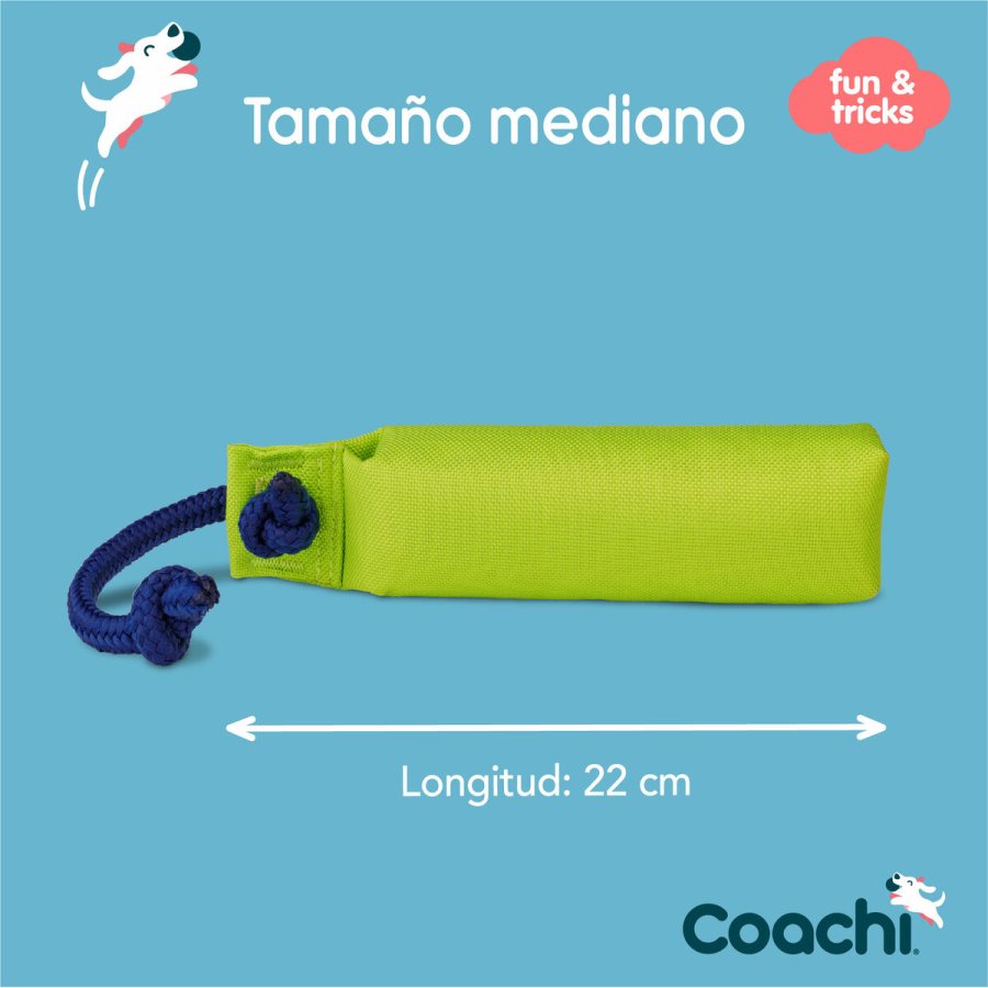 Training toy Coachi #2