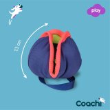 Training toy Coachi CHASE & TREAT Bl #3