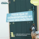 Hundesele Coachi #1