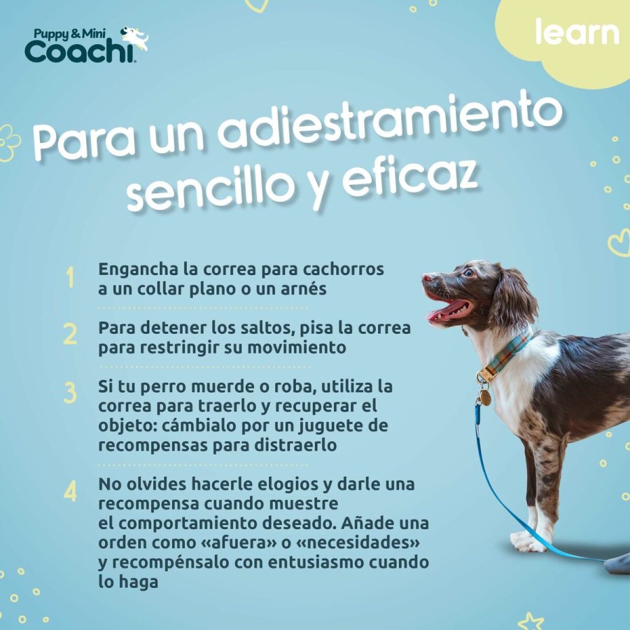Hundesele Coachi #5