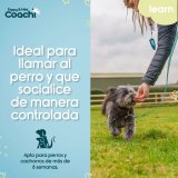 Hundesele Coachi #4