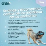 Hundesele Coachi #5