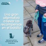 Hundesele Coachi #4