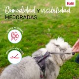 Hundesele Company of Animals Gr XL 50-78 cm #6