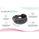 Hundehalsb�nd Company of Animals Gr� #2