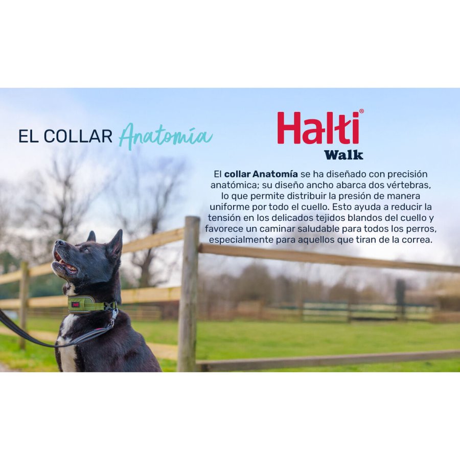 Hundehalsb�nd Company of Animals Gr� #5