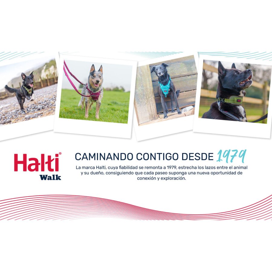 Hundehalsb�nd Company of Animals Gr� #7