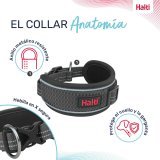 Hundehalsb�nd Company of Animals Gr� #2