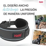 Hundehalsb�nd Company of Animals Gr� #3