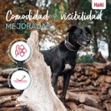 Hundehalsb�nd Company of Animals Gr� #6