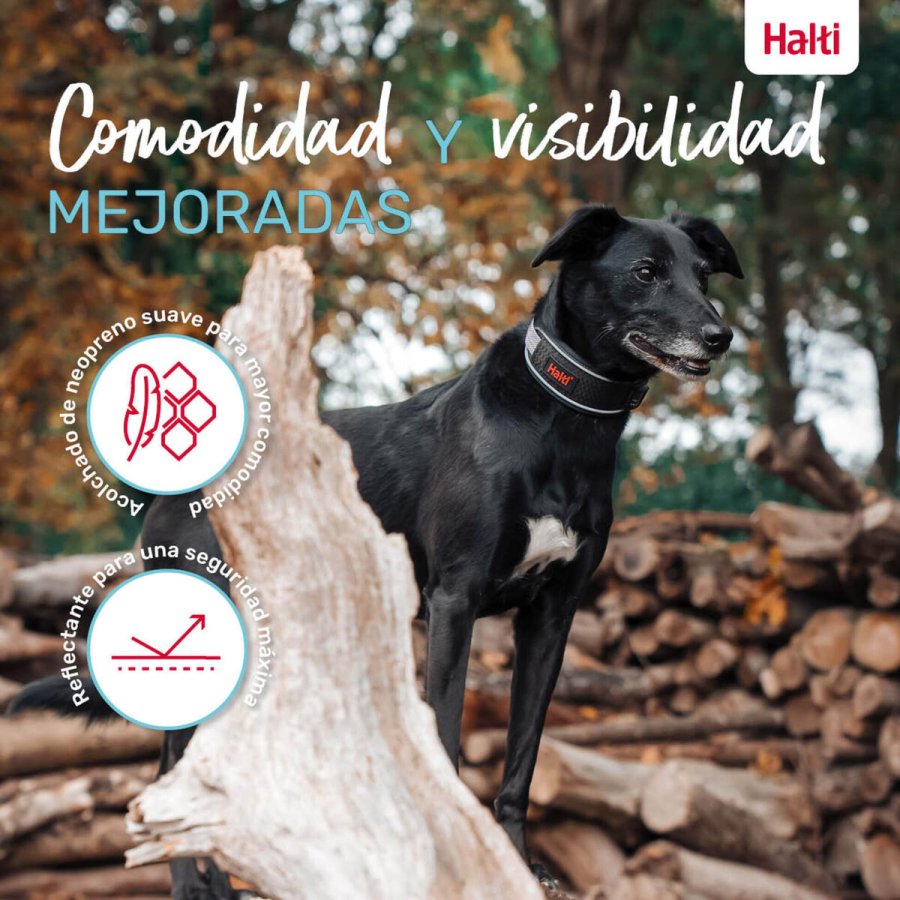 Hundehalsb�nd Company of Animals Gr� #6