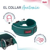 Hundehalsb�nd Company of Animals Turkisbl� #7