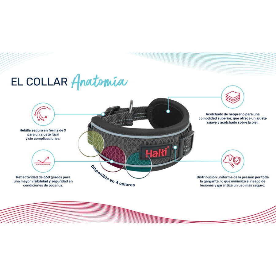 Hundehalsb�nd Company of Animals #2