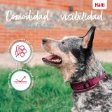 Hundehalsb�nd Company of Animals #7