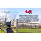 Hundehalsb�nd Company of Animals Gr�n #3