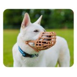 Mundkurv Company of Animals Brun 4 #3