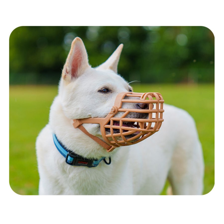 Mundkurv Company of Animals Brun 7 #3