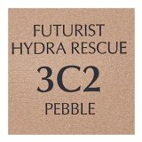 Flydende makeup foundation Estee Lauder 887167466692 #3