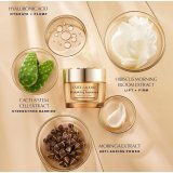 Makeup St Estee Lauder RESILIENCE 4 Dele #2