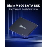 Harddisk Biwin M100 256 GB SSD #5