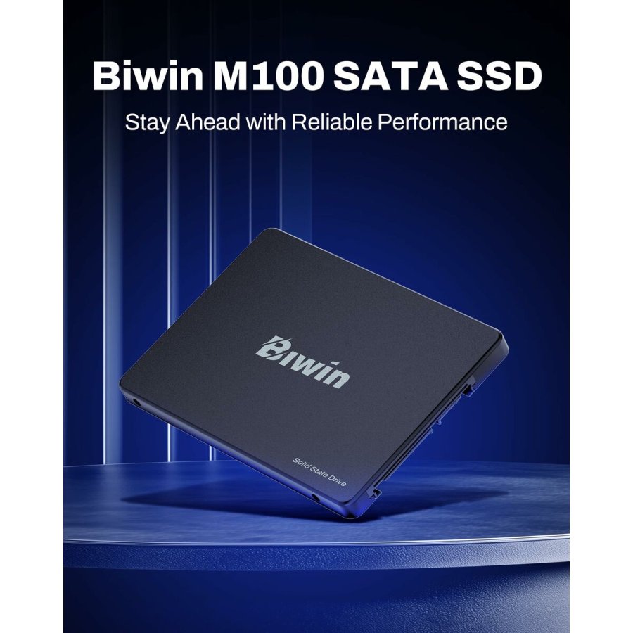 Harddisk Biwin M100 256 GB SSD #5