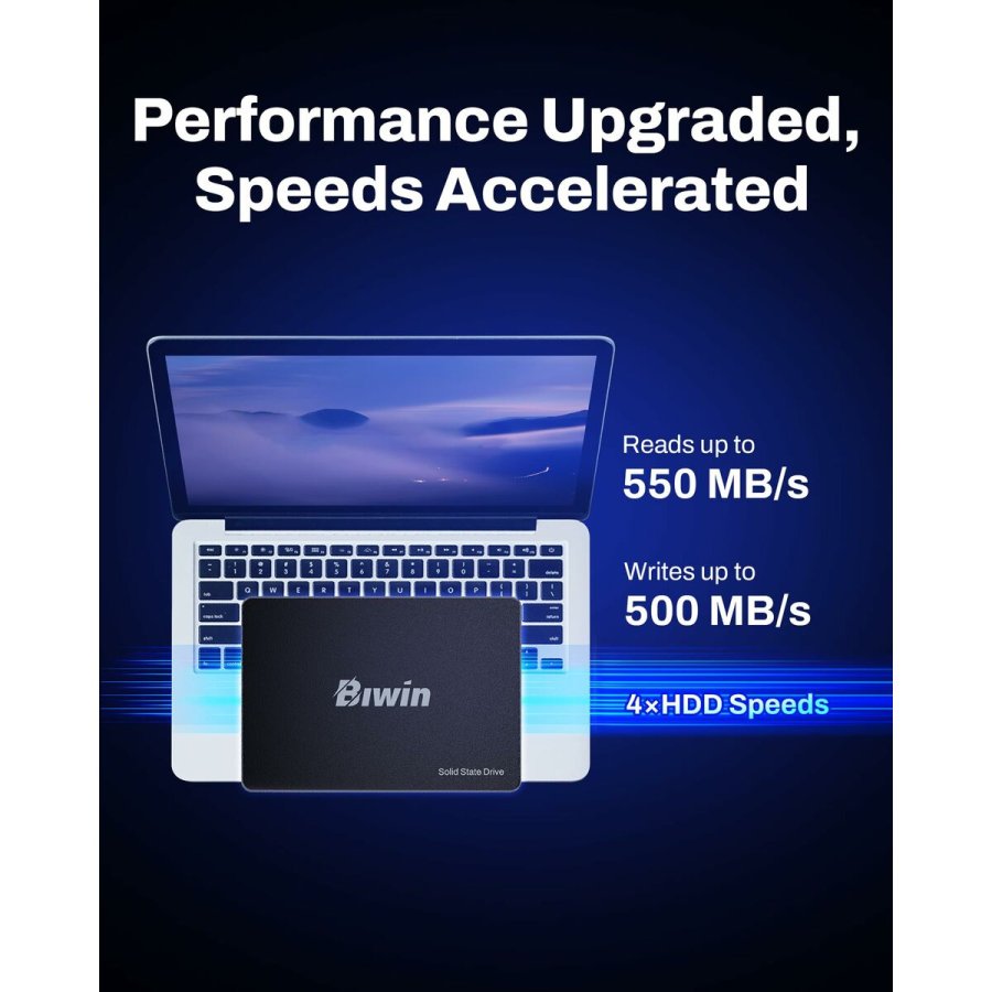 Harddisk Biwin M100 256 GB SSD #6