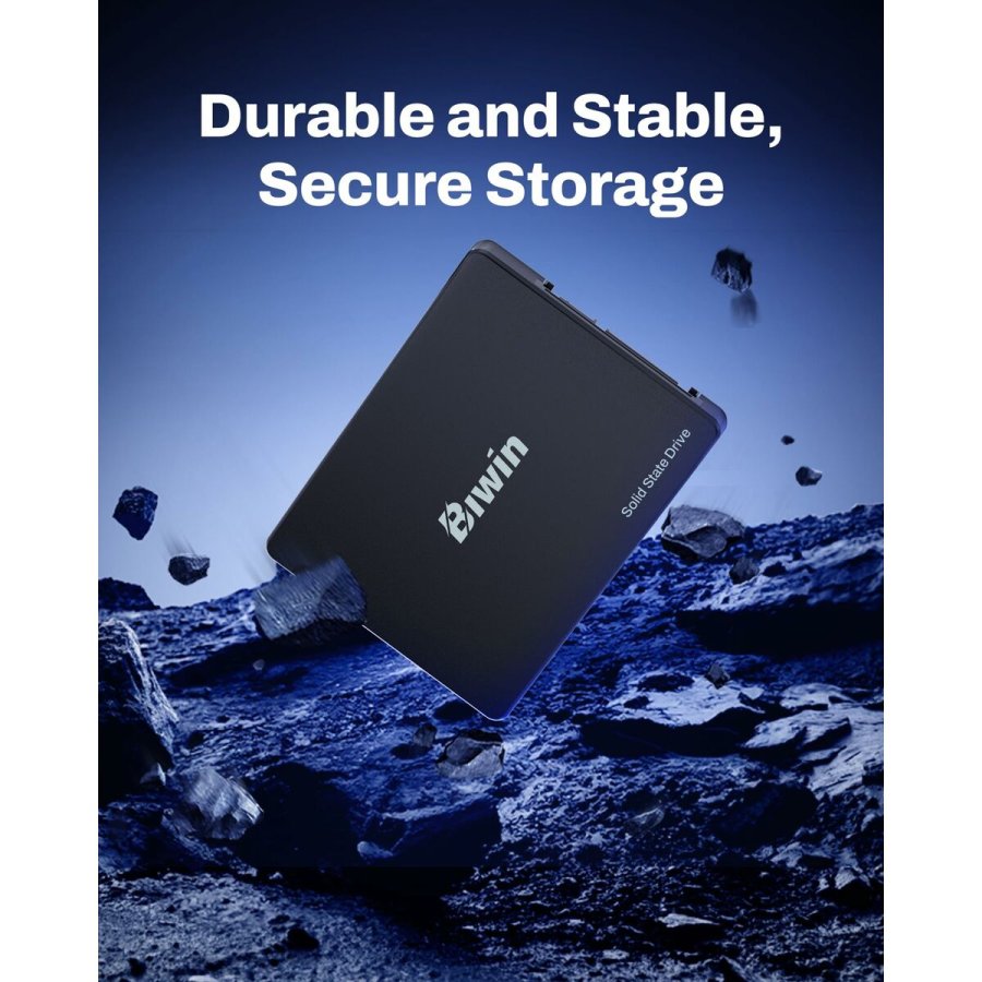 Harddisk Biwin M100 256 GB SSD #7