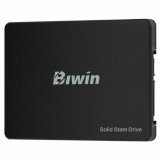 Harddisk Biwin M100 256 GB SSD #2