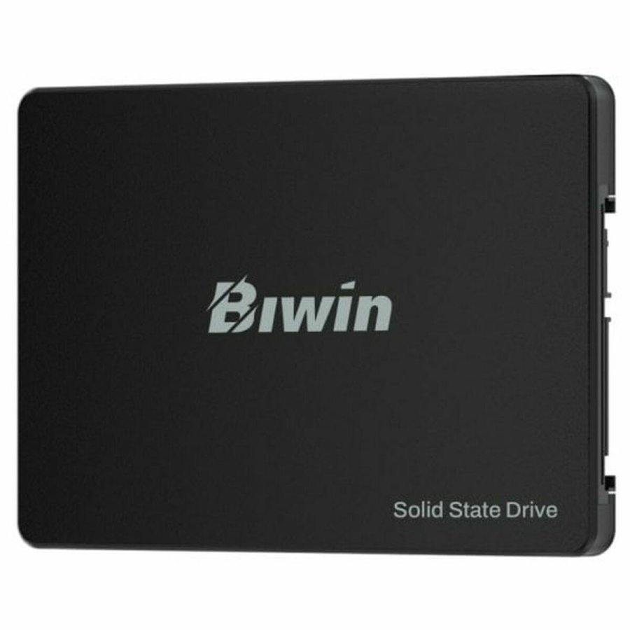 Harddisk Biwin M100 256 GB SSD #2