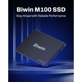 Harddisk Biwin M100 1 TB SSD #7