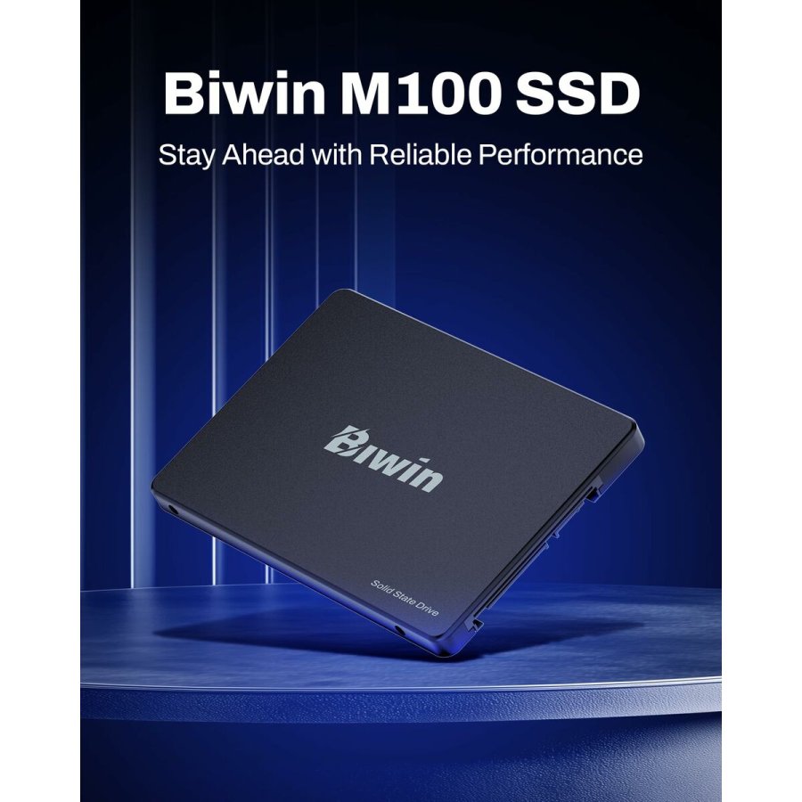 Harddisk Biwin M100 1 TB SSD #7