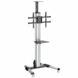 Trolley Startech STNDMTV70            #1