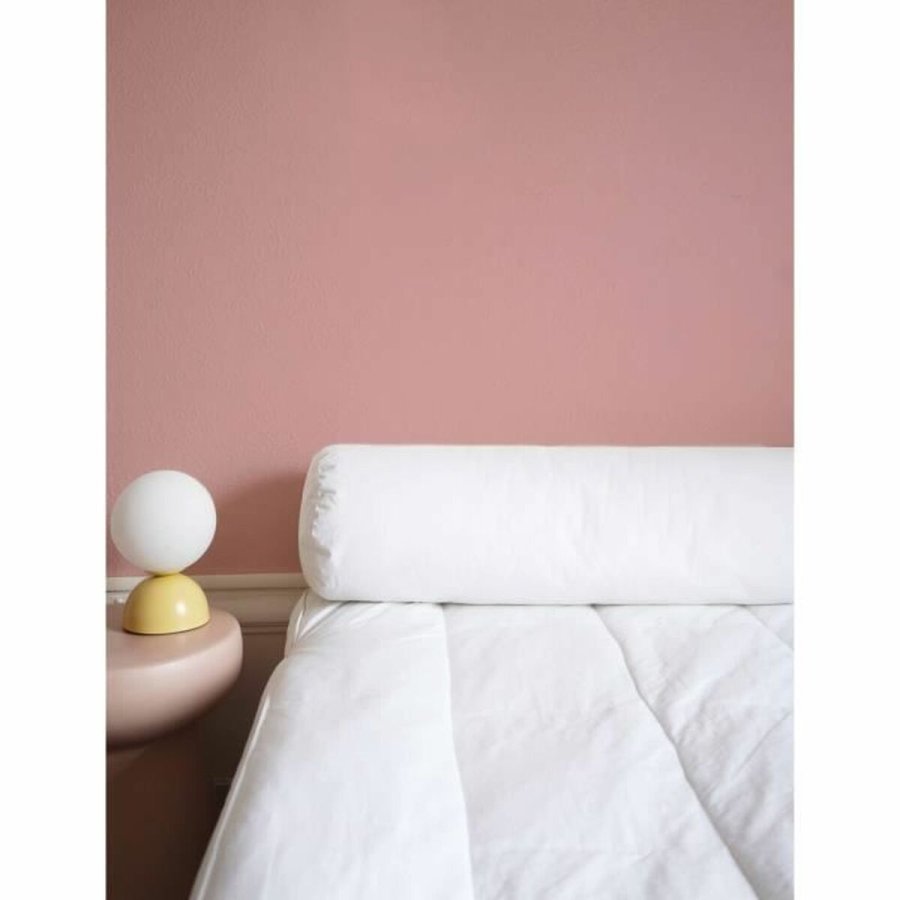 Puden Toison D'or Pollux #2