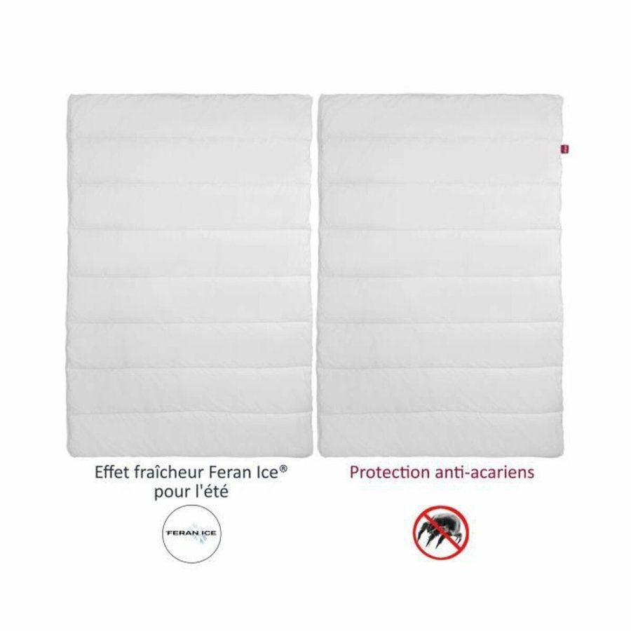 Dyne Abeil 4 Seasons Anti-stvmide 240 x 260 cm 300 g/m #4