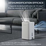 Affugter Rowenta DH5250F0 300 W 3 L #3